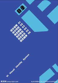 VI设计目录设计
