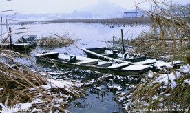湖中小船