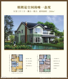 经典别墅户型