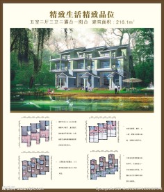 经典别墅户型