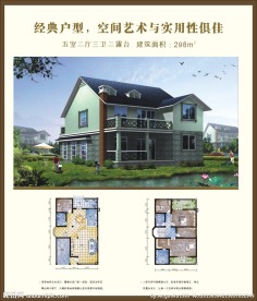 经典别墅户型
