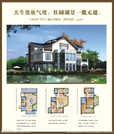 经典别墅户型