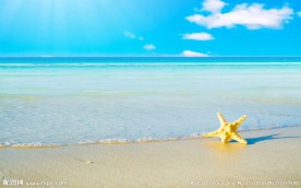 海星