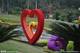 郁金香花展