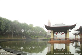 千灯湖公园一角