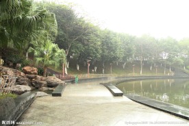 千灯湖公园一角