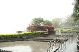 千灯湖公园一角