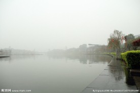 千灯湖公园一角