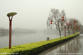 千灯湖公园一角