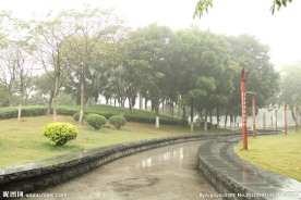 千灯湖公园一角