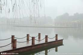 千灯湖公园一角