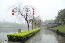 千灯湖公园一角