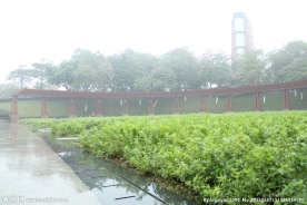 千灯湖公园一角