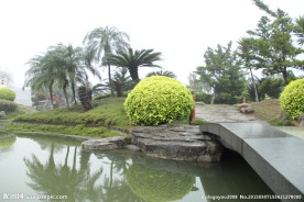 千灯湖公园一角