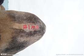 天涯海角