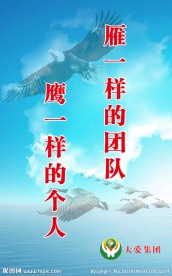 团队展板