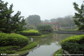 千灯湖公园一角