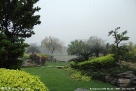 千灯湖公园一角