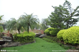 千灯湖公园一角