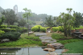 千灯湖公园一角