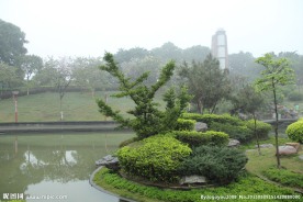 千灯湖公园一角