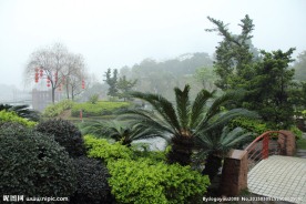 千灯湖公园一角