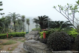 千灯湖公园一角