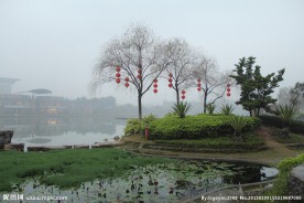 千灯湖公园一角