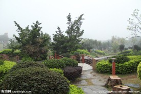 千灯湖公园一角