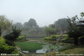 千灯湖公园一角