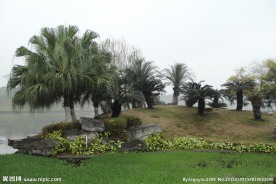 千灯湖公园一角