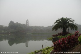 千灯湖公园一角