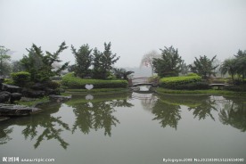 千灯湖公园一角