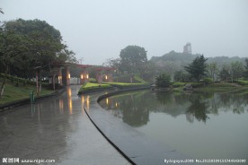 千灯湖公园一角