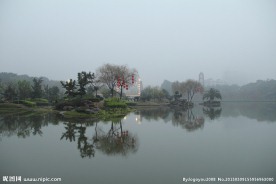 千灯湖公园一角