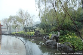 千灯湖公园一角