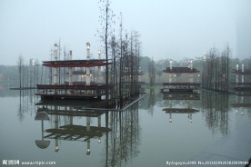 千灯湖公园一角