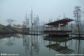 千灯湖公园一角