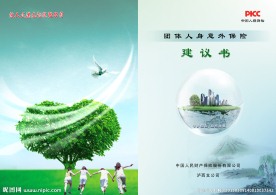 财保公司计划书