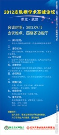 会议X展架