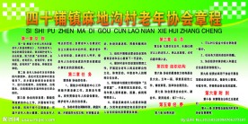 老年协会章程
