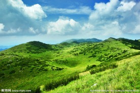 紫柏天坦风景图