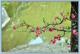 春暖花开
