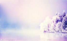 雪景