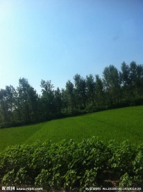 宜昌
