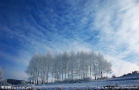 冬季冰雪雾凇