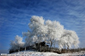 冬季冰雪雾凇