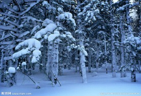冬季冰雪雾凇