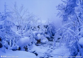 冬季冰雪雾凇