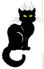 黑猫